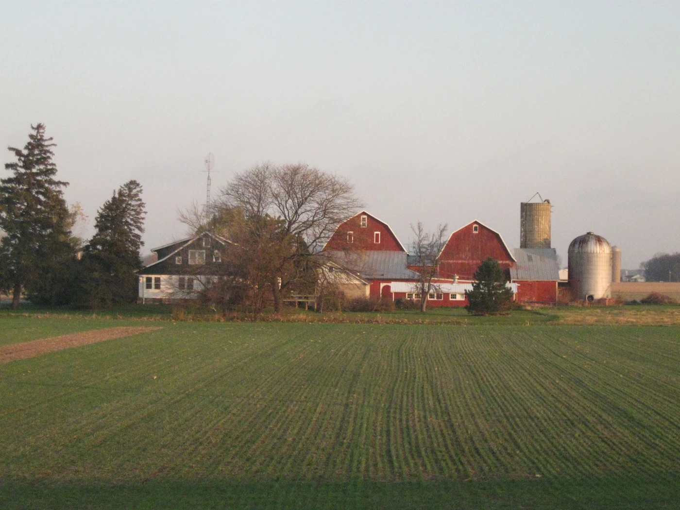 Rural farmland and barns in the early morning light